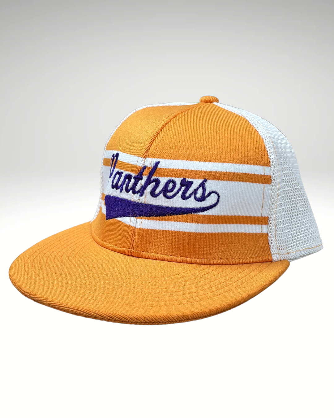 Retro Panthers Snapback Hat