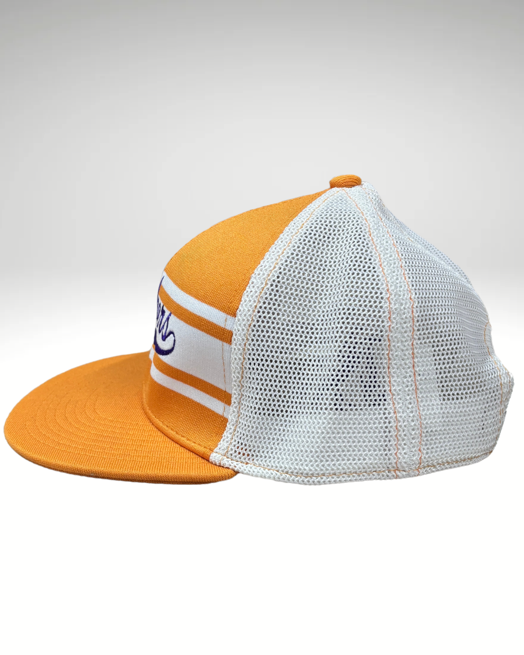 Retro Panthers Snapback Hat