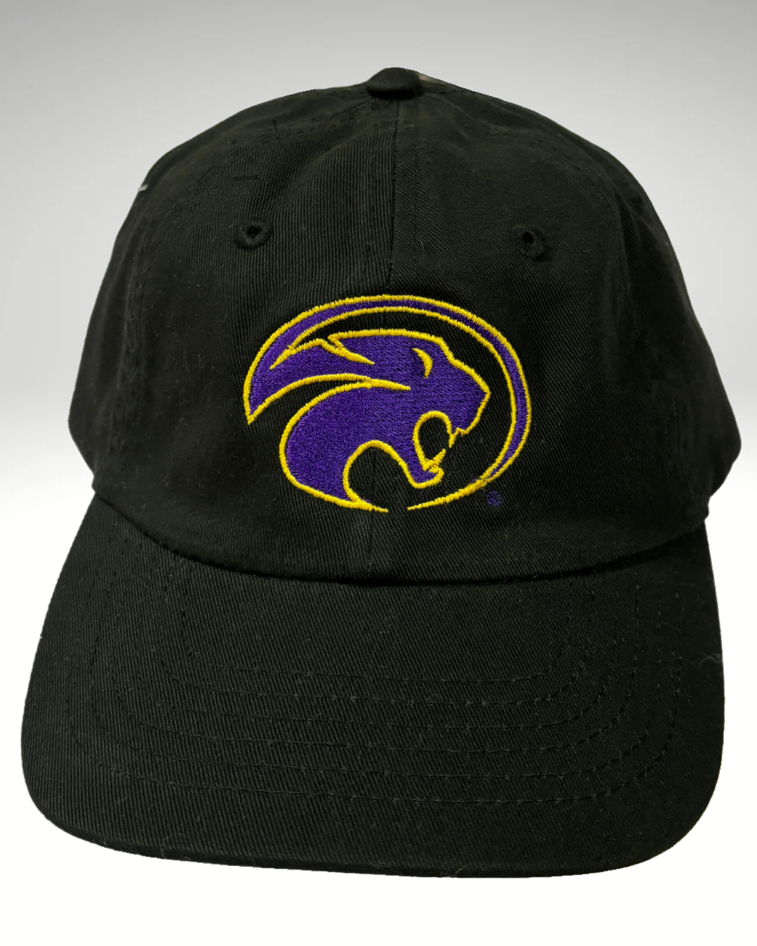 Panther Head Low Profile Hat Youth