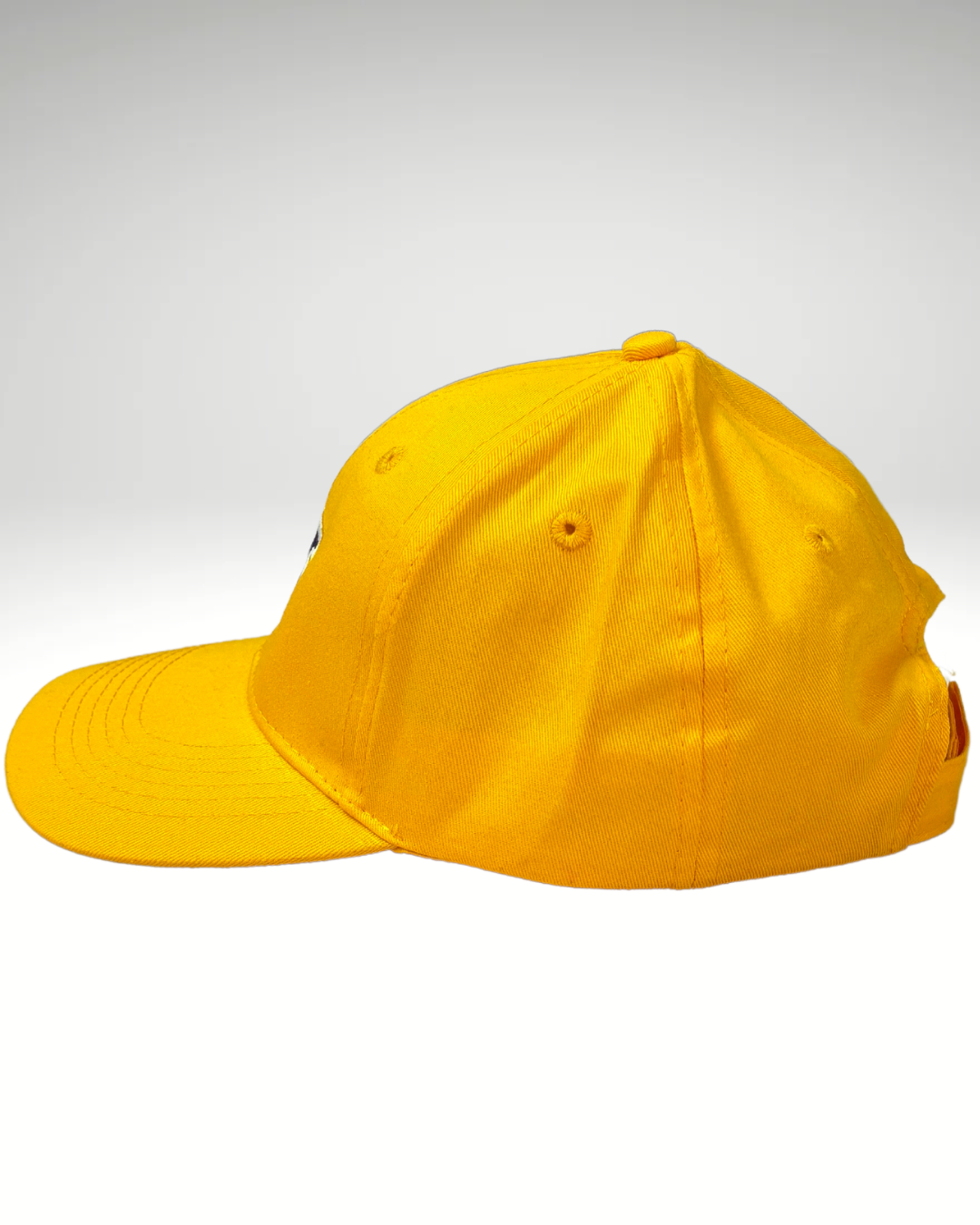LH Gold Snapback Hat Youth