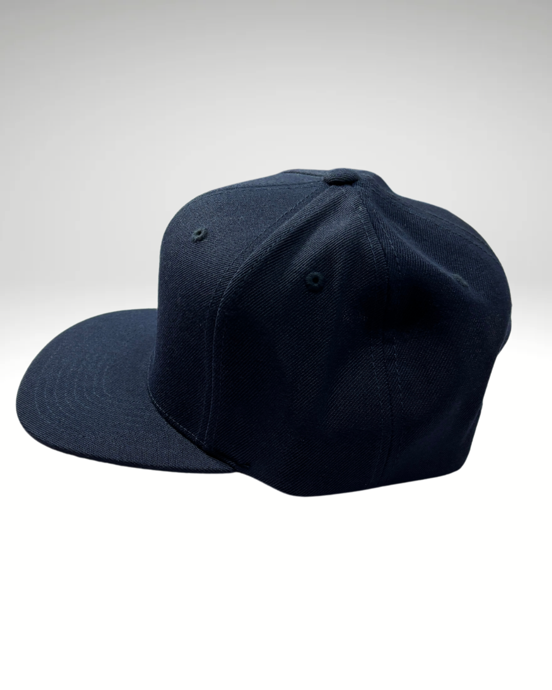 LR Navy Snapback Hat
