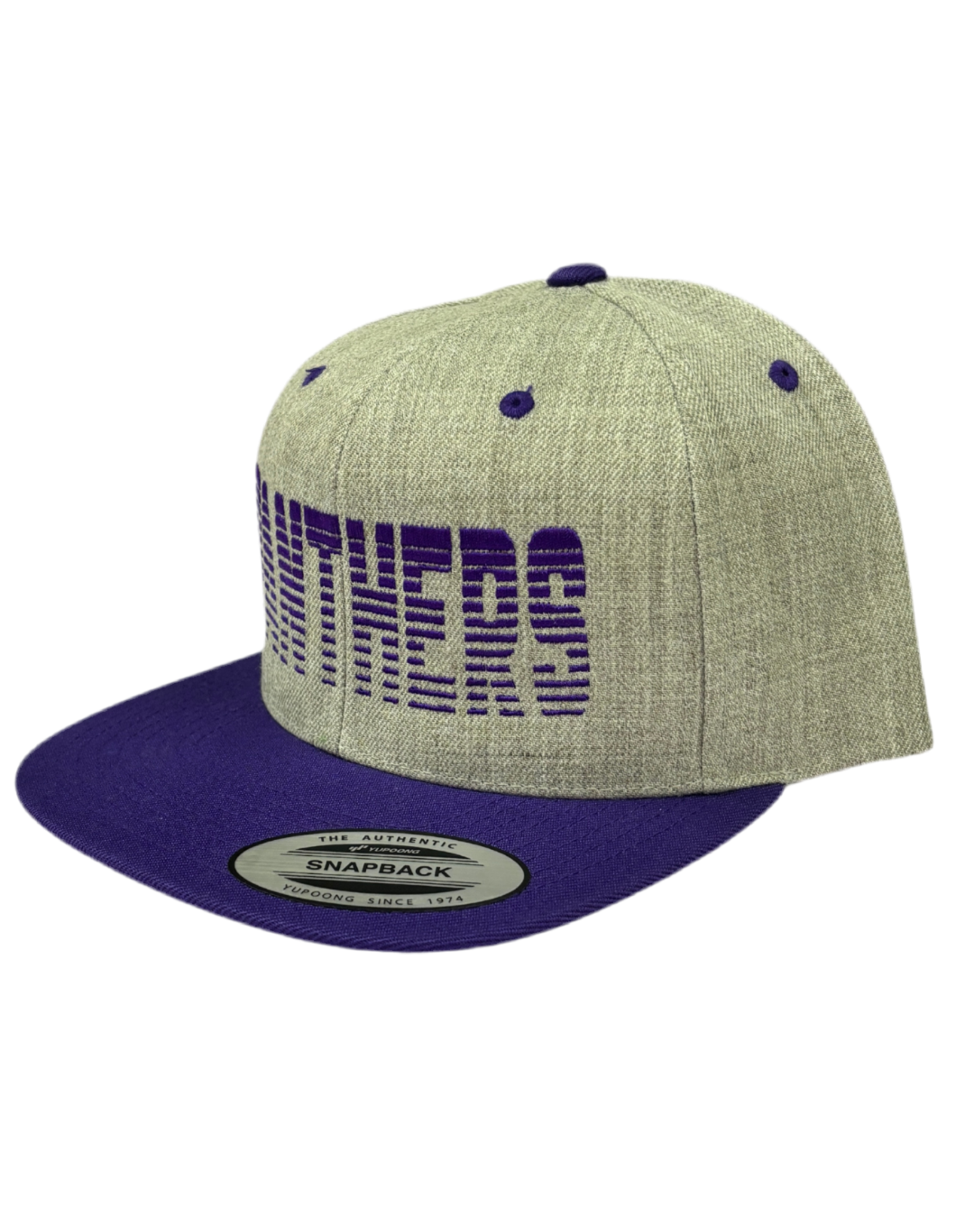 Faded Panthers Snapback Hat