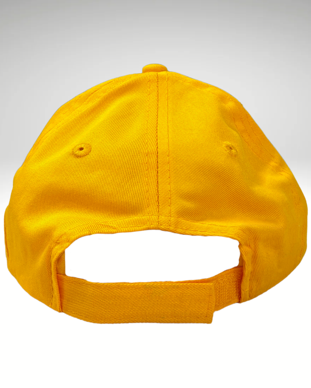LH Gold Snapback Hat Youth