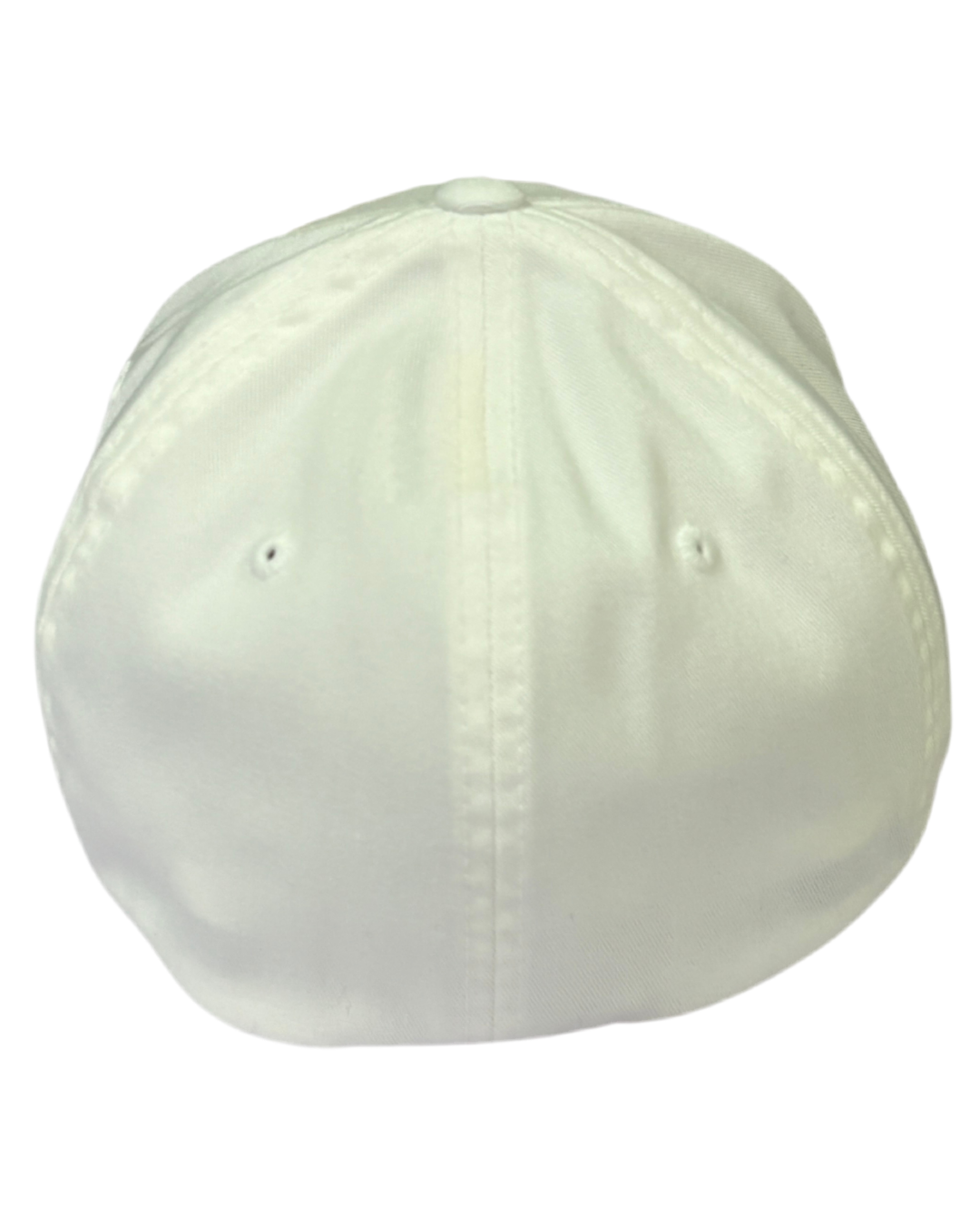 Flexfit Panthers Mural White Hat