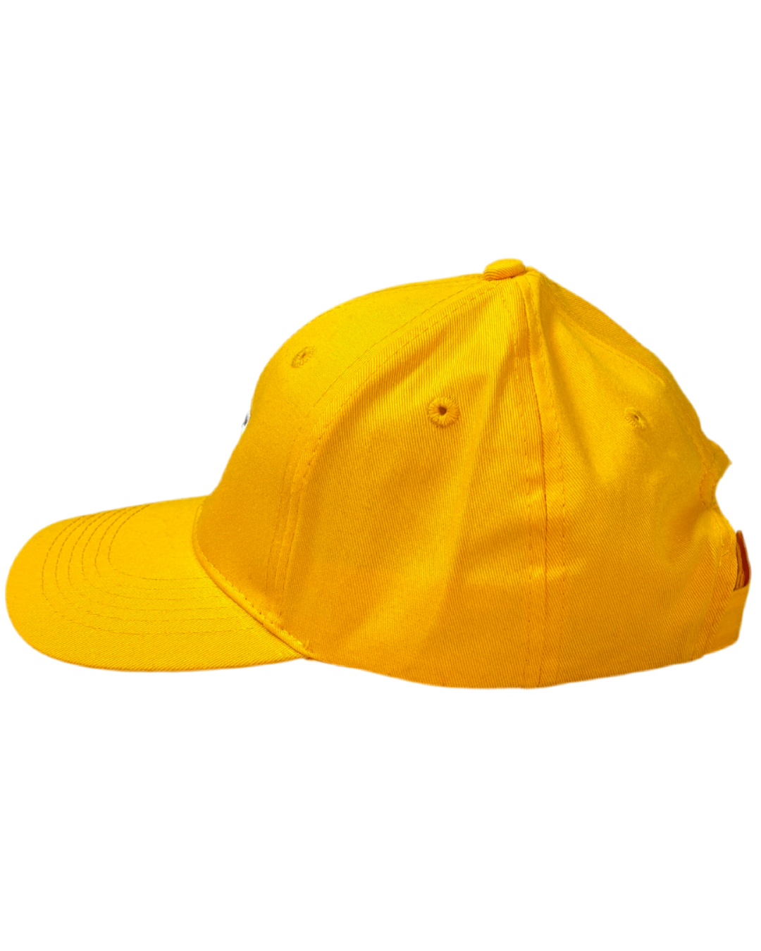 LH Gold Snapback Hat Youth