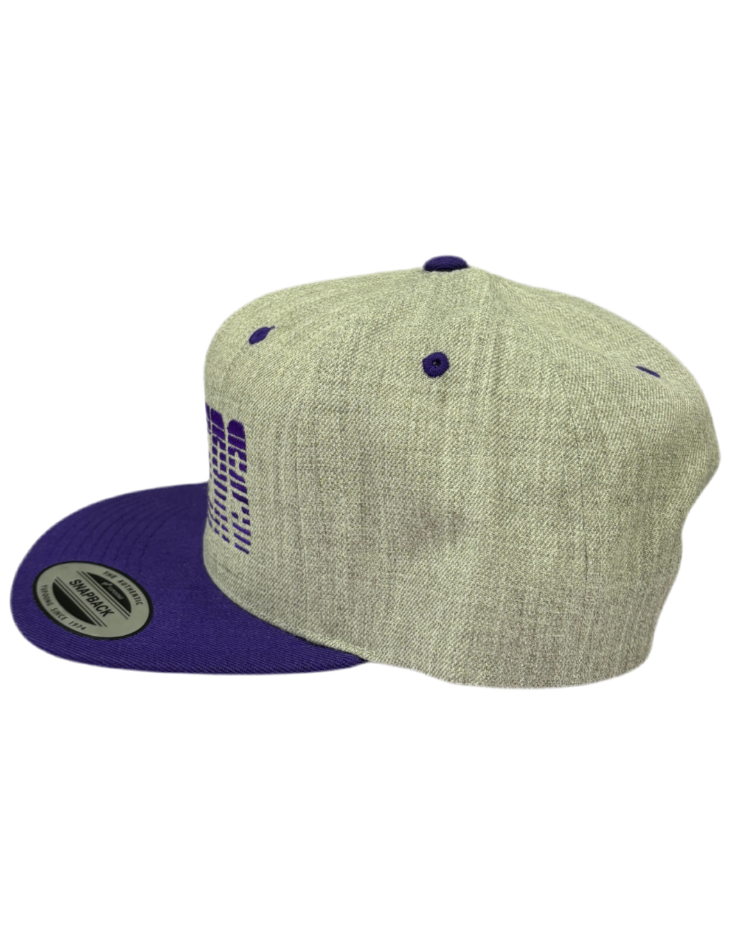 Faded Panthers Snapback Hat
