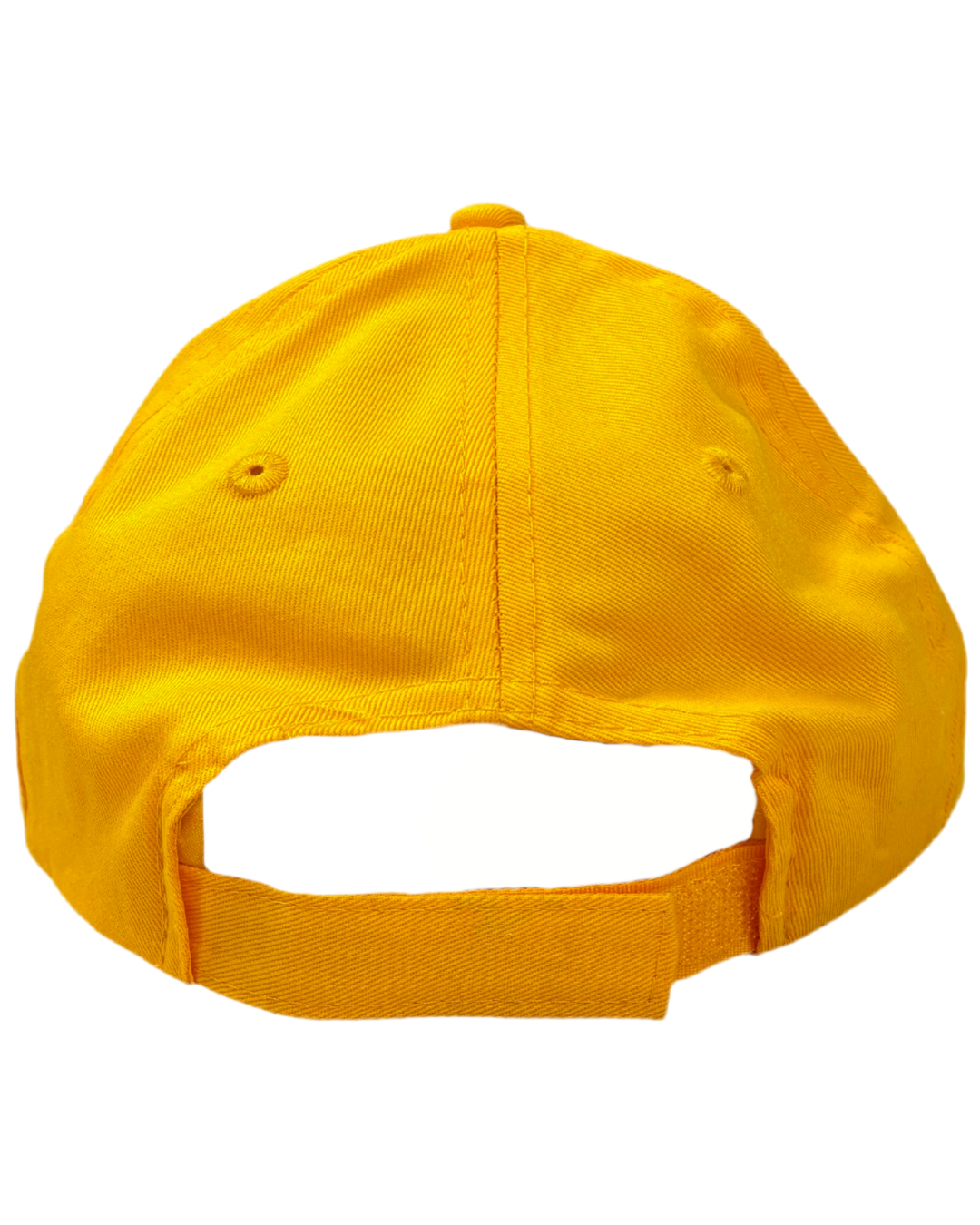 LH Gold Snapback Hat Youth