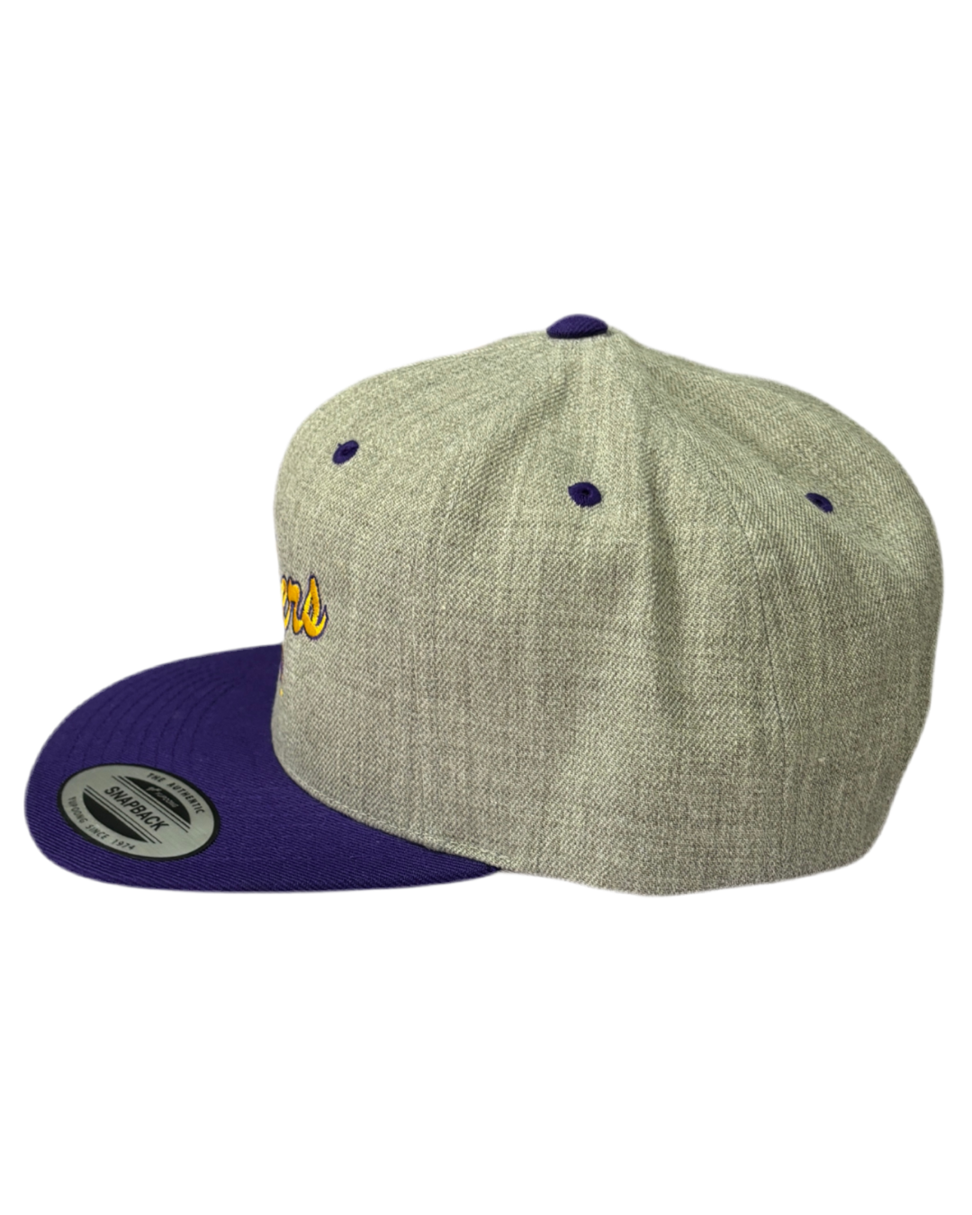 classics Panthers Mural Snapback Hat