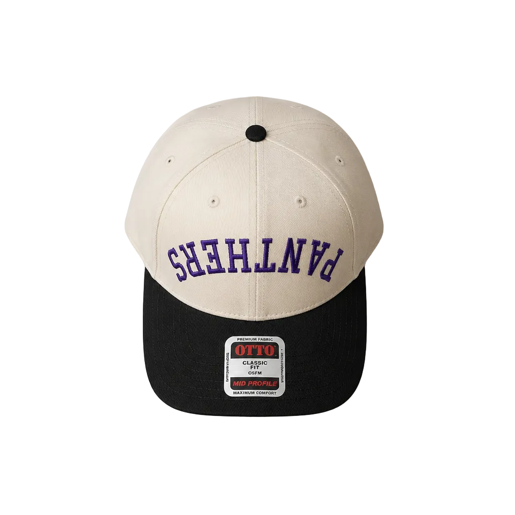 Panthers upside down Hat