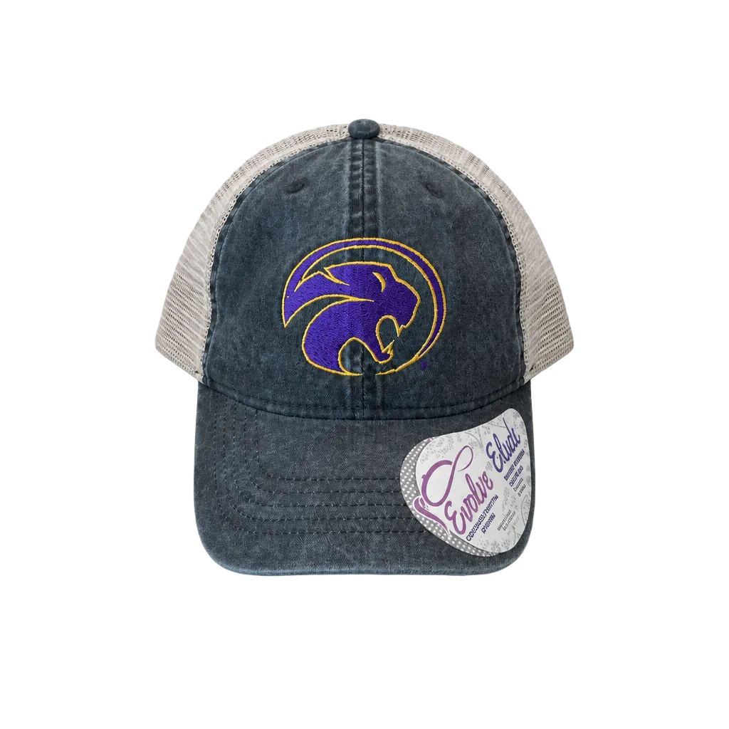 Panther Infinity Ponytail Hat