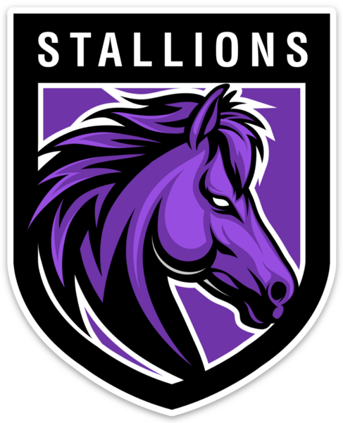 Stallions Shield Magnet