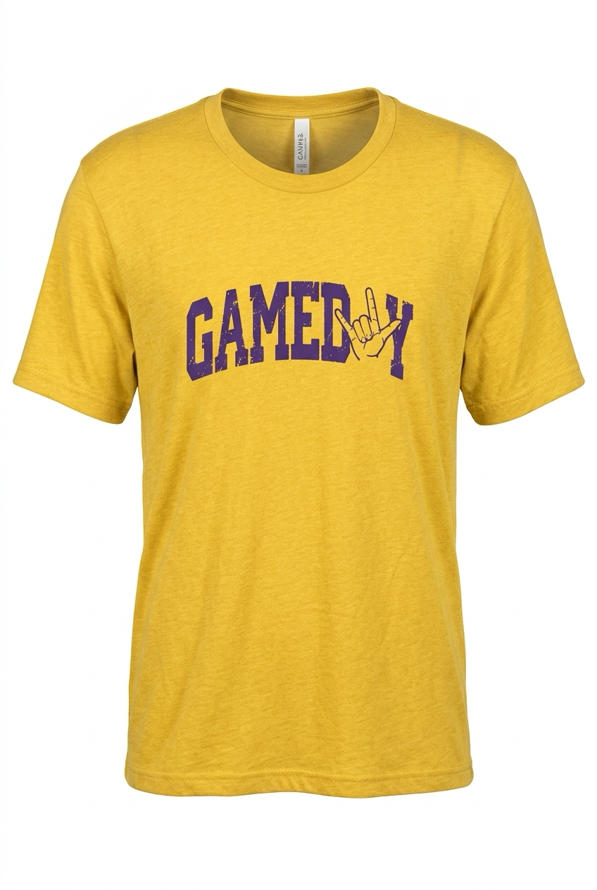 Gameday Panthers T-shirt