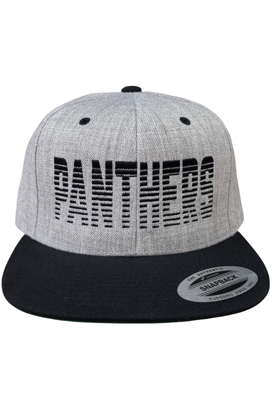 Classics Panthers Fade Black Hat