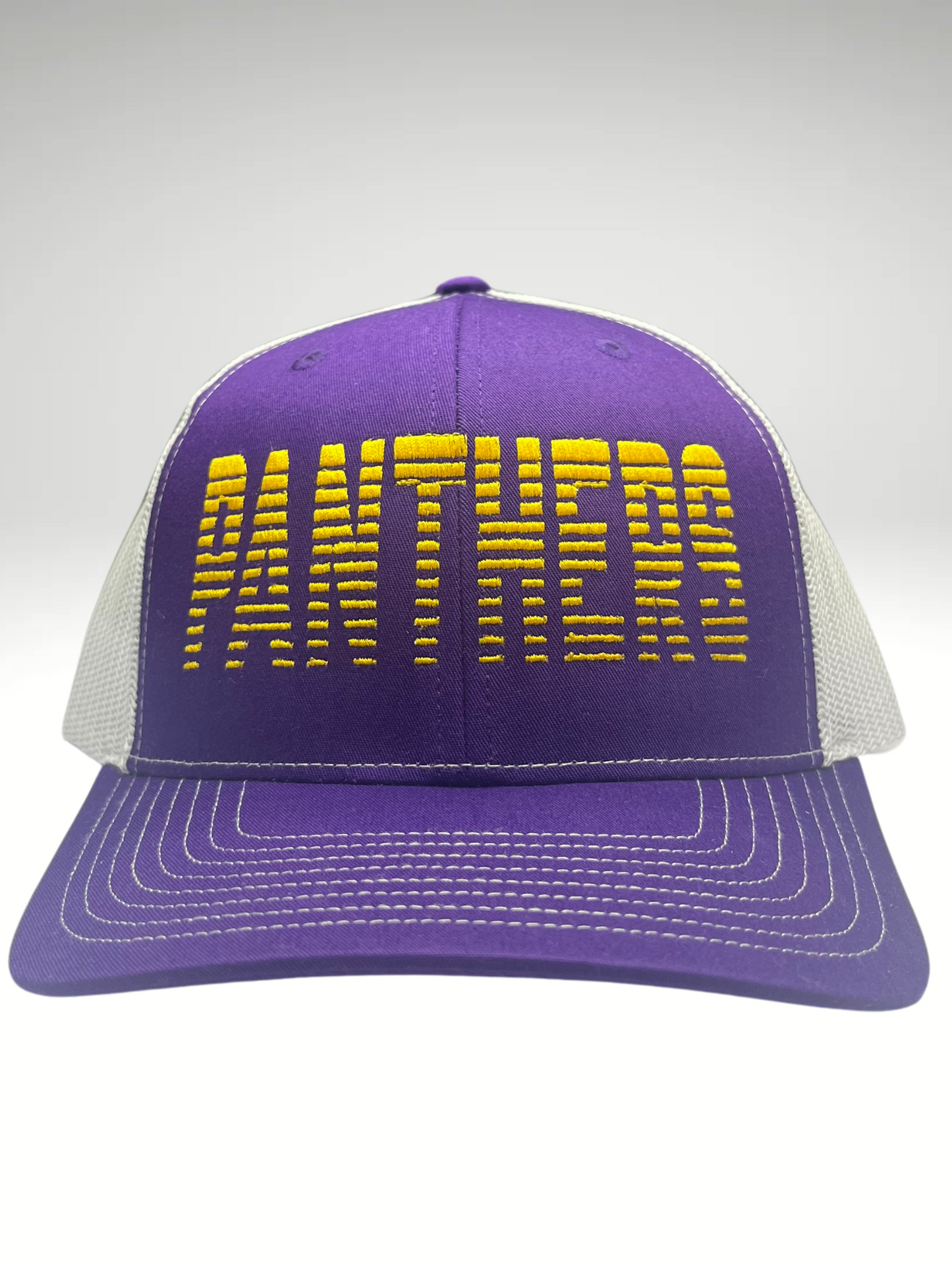 Richardson Purple Faded Panthers