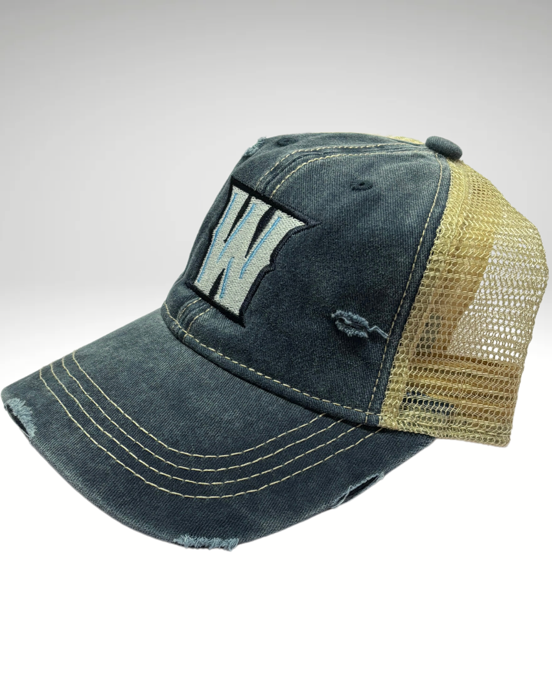 Vintage Distressed Hat