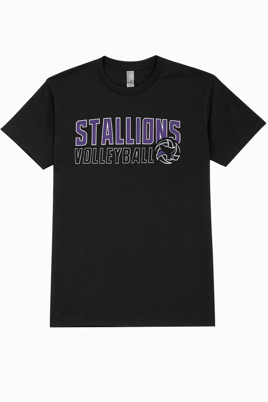 Stalions  Volleyball T-shirt Dri Fit