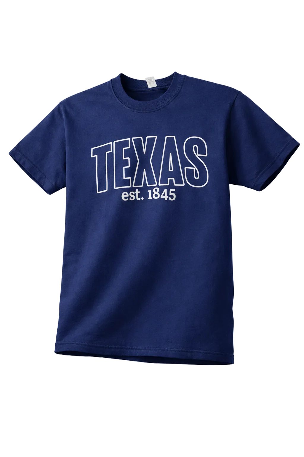 Texas  Blue Comfort  Color T-Shirt