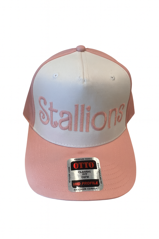 Barbie Pink Stallions Hat