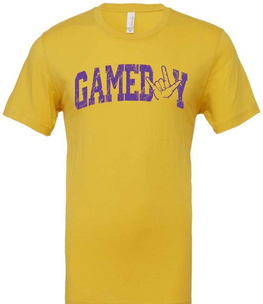 Gameday Panthers T-shirt Youth