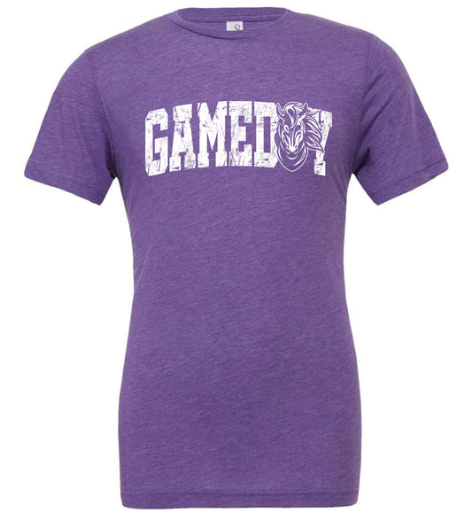 Gameday Stallions T-Shirt