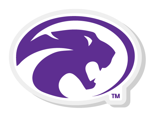 Panther Head Pin