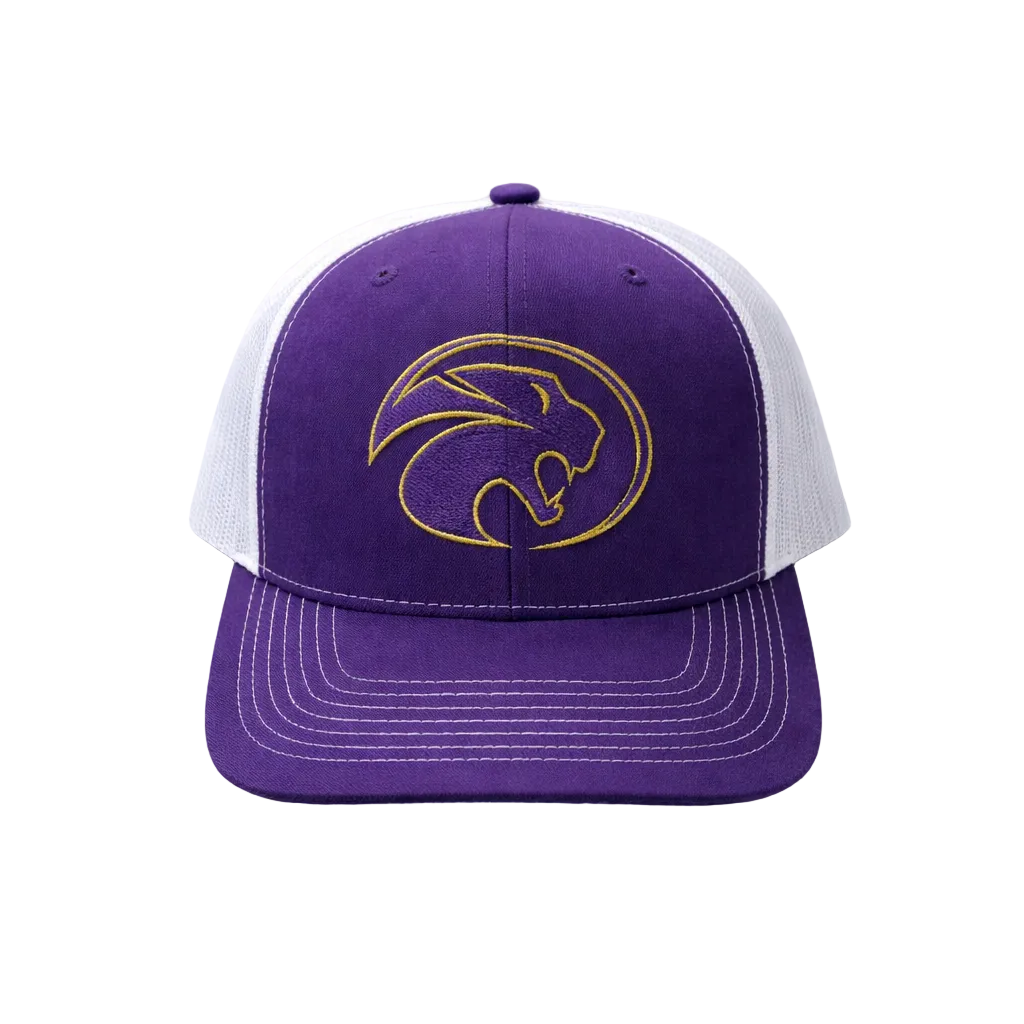 Panther Head Snapback  Hat