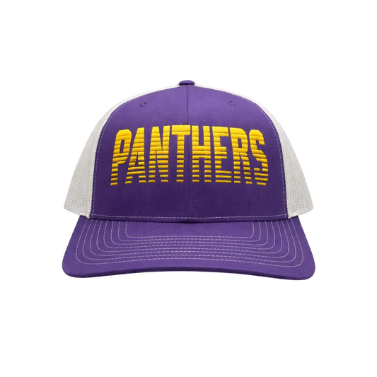 Panther Gridline Snapback Hat