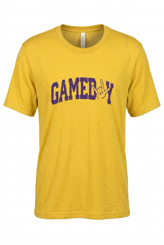 Gameday Panthers T-shirt