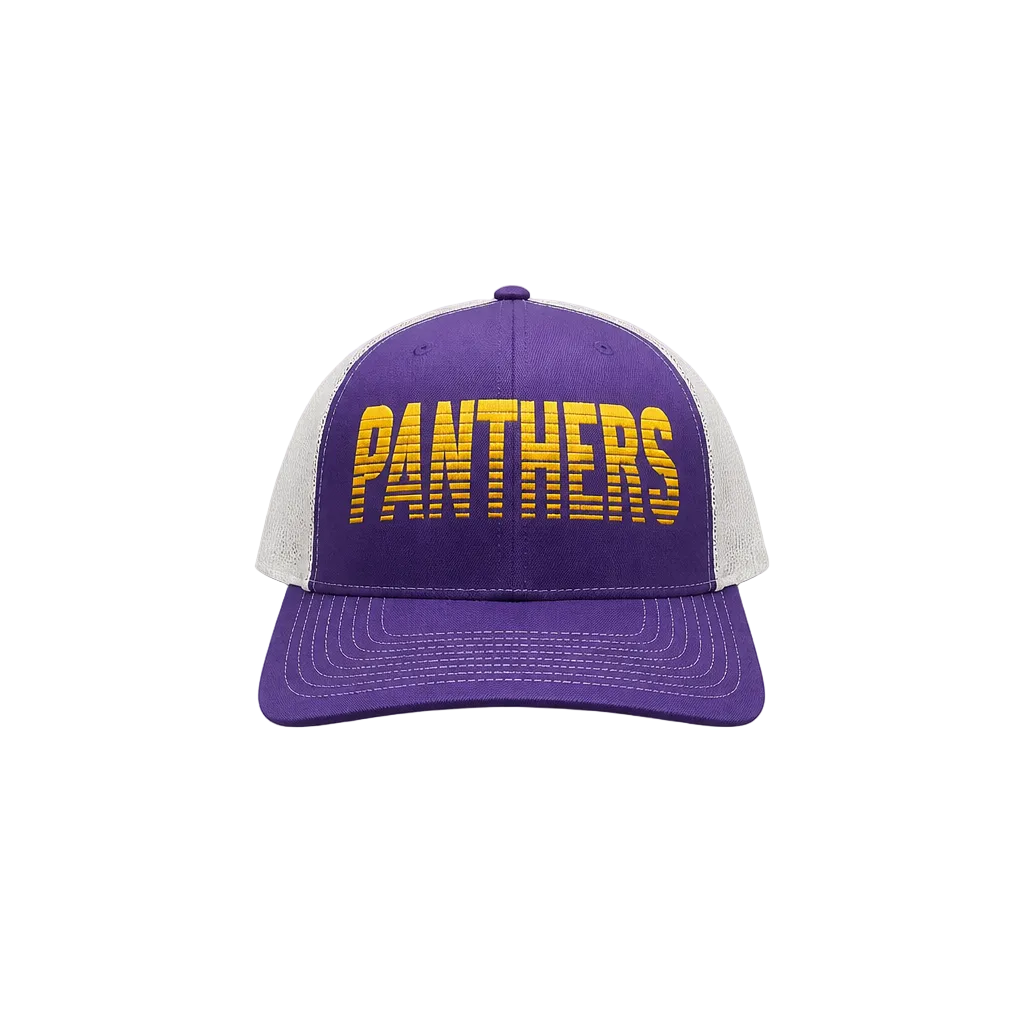 Panther Gridline Snapback Hat