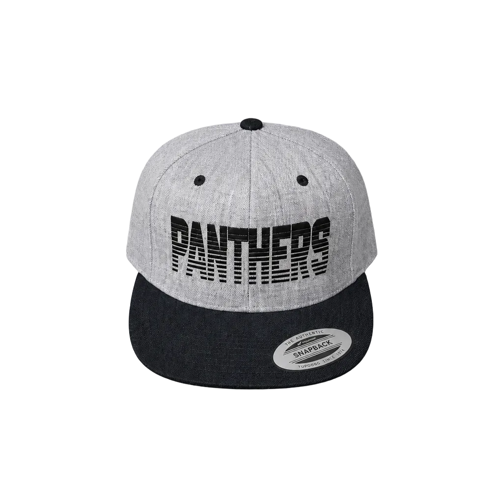 Classics Panthers Fade Black Hat