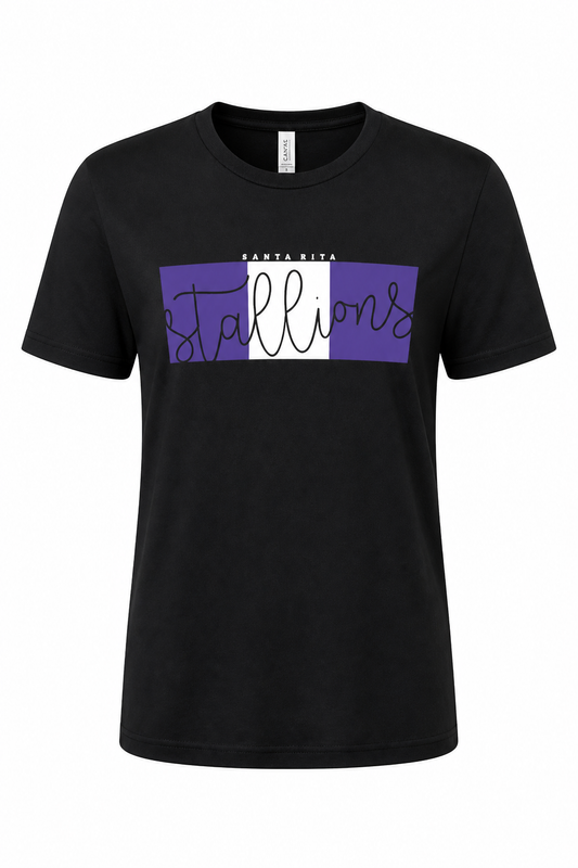Stallions Script Color Block T-Shirt