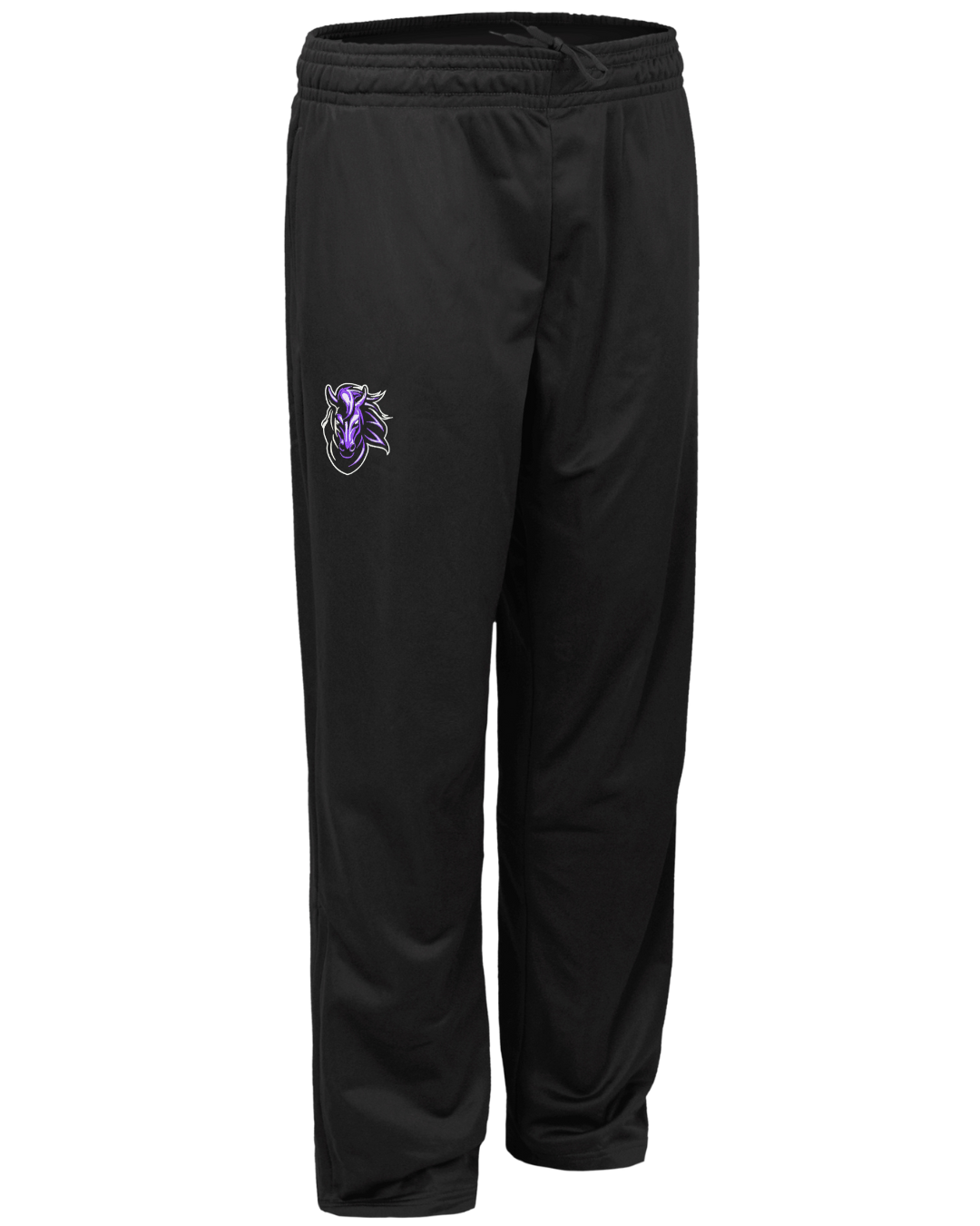 Stallions Joggers Youth